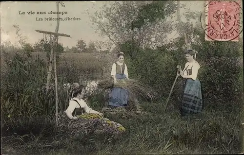 Ak Frankreich, La vie aux champs, les bruleuses d'herbes