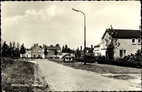 Ak Westerbork Drenthe Niederlande, Brinklaan