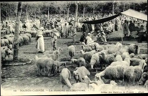 Ak Maison Carree El Harrach Algier Algerien, Le Marche aux Moutons