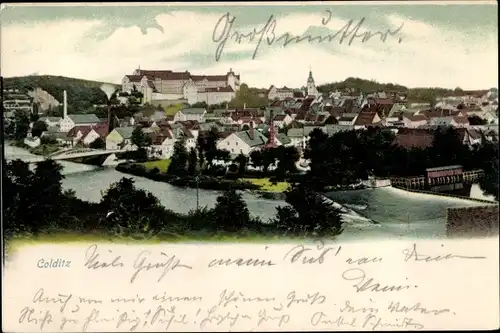 Ak Colditz in Sachsen, Blick auf den Ort, Schloss, Mulde