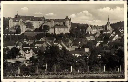Ak Colditz in Sachsen, Blick auf den Ort, Schloss, Kirche
