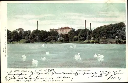Ak Zwickau Sachsen, Schwanenteich