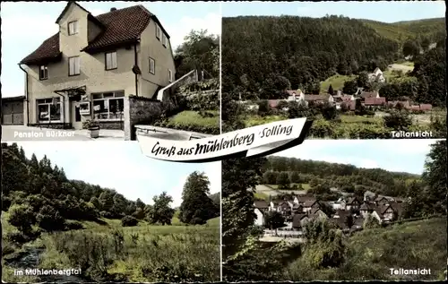 Ak Mühlenberg im Solling Holzminden an der Weser, Pension G. Bürkner, Mühlenbergtal, Teilansichten