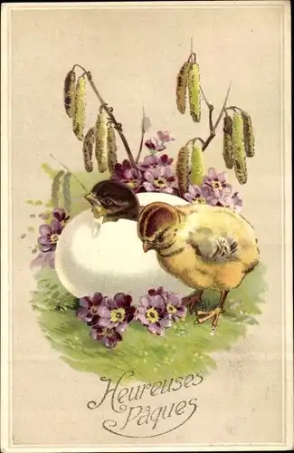 Litho Glückwunsch Ostern, Küken, Eierschale, Blüten