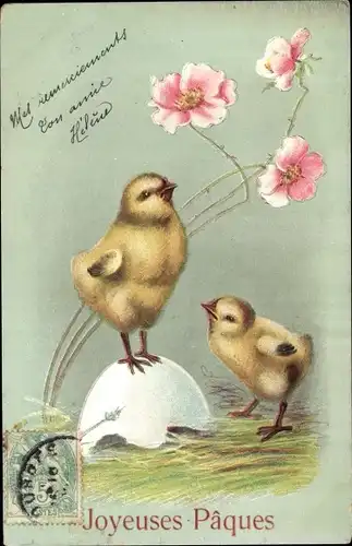 Präge Litho Glückwunsch Ostern, Küken, Eierschale, Blumen