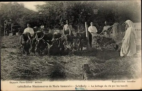 Ak Bangalore Satehally Indien, Catéchistes Missionnaires de Marie Immaculée