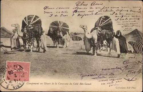 Ak Campement eu Desert de la Caravane du Caid Ben Ganah, Kamele, Maghreb