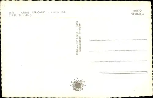 Ak Faune Africaine, Zebres, Zebras