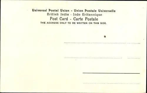 Ak Jeypore Jaipur Indien, State Elephant