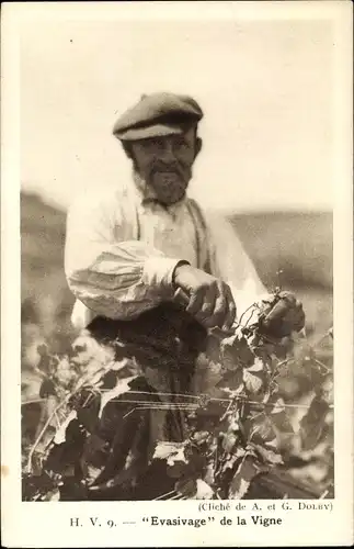 Ak Frankreich, Evavisage de la Vigne, Weinbauer