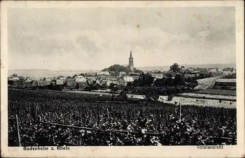 Ak Bodenheim in Rheinhessen, Totalansicht der Ortschaft