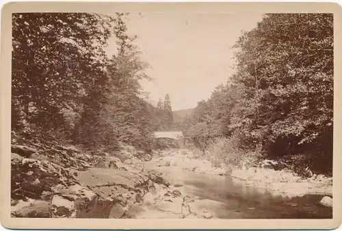 Kabinett Foto Bad Blankenburg in Thüringen, Steinerne Brücke im Schwarzatal