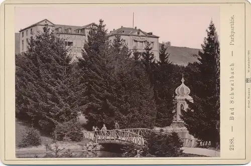 Kabinett Foto Bad Schwalbach im Taunus, Parkpartie, Hotel Deutscher Kaiser, Prince of Wales