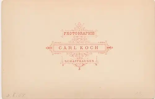 Kabinett Foto Schaffhausen am Rhein Schweiz, Rheinfall, Fot. Carl Koch