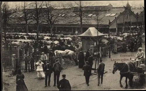 Ak Heeg Friesland Niederlande, Veemarkt