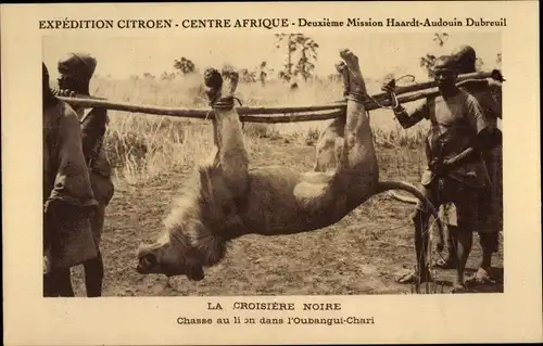 Ak L'Oubangui Chari Zentralafrikanische Republik, Croisiere Noire, Chasse au lion, Mission Haardt