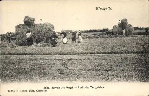 Ak Westmalle Malle Flandern Antwerpen, Inhaling van den Oogst, Abdij der Trappisten