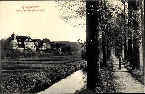 Ak Königsbrück in der Oberlausitz, Partie an der Promenade