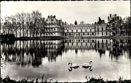 Ak Fontainebleau Seine et Marne, Palais vue de l'Etang aux Carpes, Schwäne