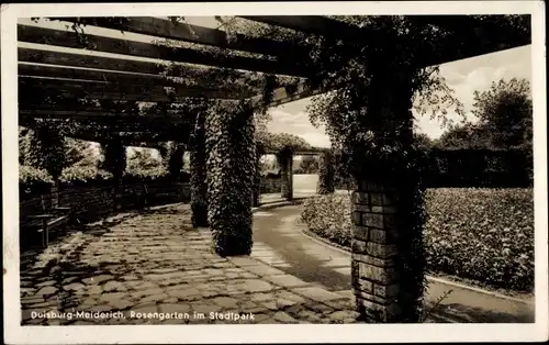 Ak Meiderich Duisburg im Ruhrgebiet, Rosengarten im Stadtpark