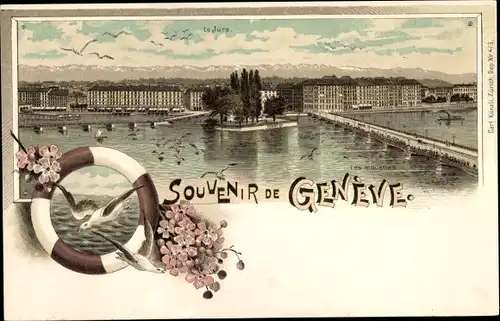 Litho Genève Genf Schweiz, Panorama vom Ort, Blumen, Möwen