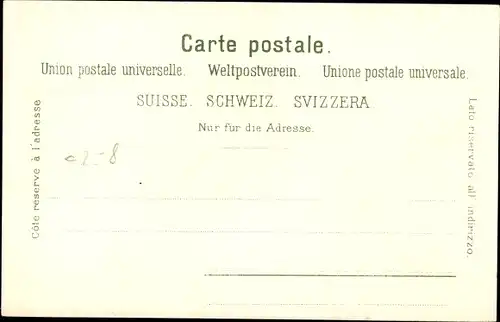 Litho Genève Genf Schweiz, Panorama vom Ort, Blumen, Möwen