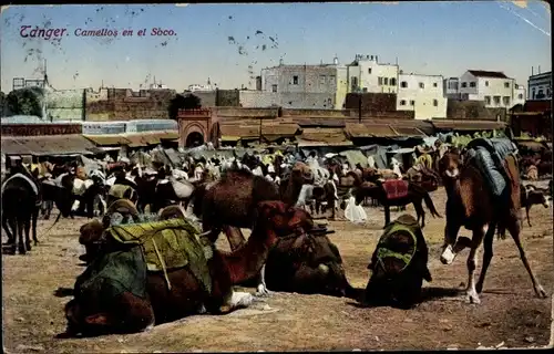 Ak Tanger Marokko, Camellos en el Soco