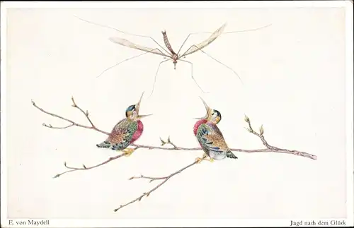 Künstler Ak Maydell, E. v., Jagd nach dem Glück, Vögel und große Mücke
