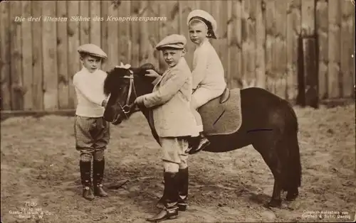 Ak Drei älteste Söhne des Kronprinzenpaares, Pony
