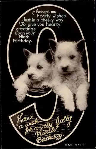Ak Glückwunsch Geburtstag, Ninth Birthday, Hundewelpen, 9