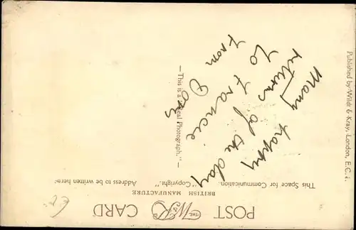 Ak Glückwunsch Geburtstag, Ninth Birthday, Hundewelpen, 9