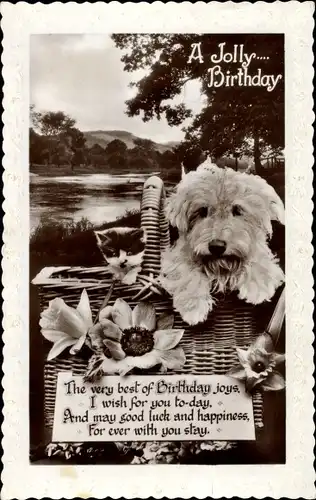 Ak Glückwunsch Geburtstag, Hund und Katze in einem Korb, Blumen