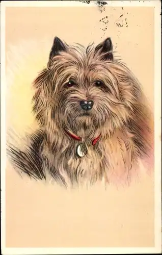 Ak Hundeportrait, Terrier mit Halsband