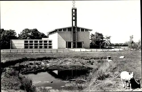 Ak Haamstede Schouwen Duiveland Zeeland Niederlande, Ger. Kerk, Schaf