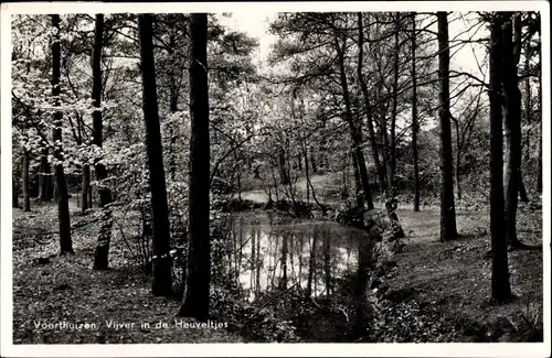 Ak Voorthuizen Barneveld Gelderland Niederlande, Vijver in de Heuveltjes