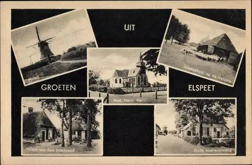 Ak Elspeet Gelderland, Molen, Schaapskool op de Veluwe, Huisje aan de boschrand