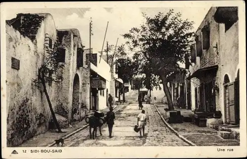 Ak Sidi Bou Said Tunesien, Une Rue, Straßenpartie, Esel, Häuser