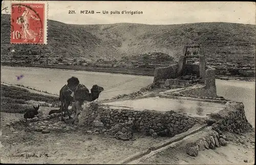 Ak Le Mzab Algerien, Un puits d'irrigation
