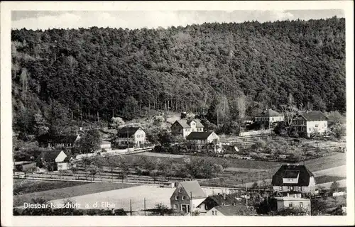 Ak Nieschütz Diera, Diesbar Seußlitz Nünchritz an der Elbe, Teilansicht des Ortes