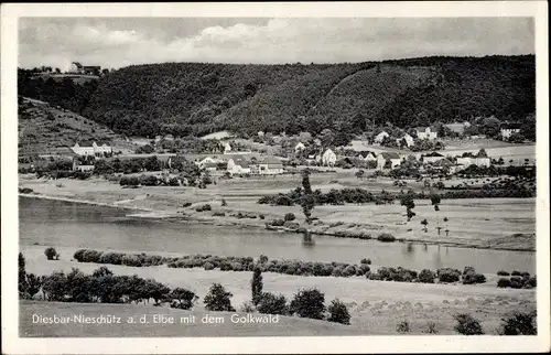 Ak Nieschütz Diera, Diesbar Seußlitz Nünchritz an der Elbe, Panorama mit Golkwald