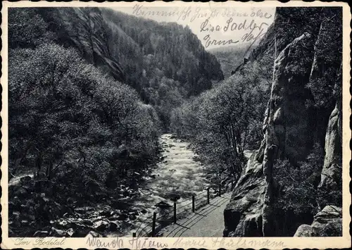 Ak Thale im Harz, Bodetal, Wanderweg