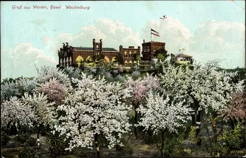 Ak Werder an der Havel, Baumblüte auf der Wachtelburg