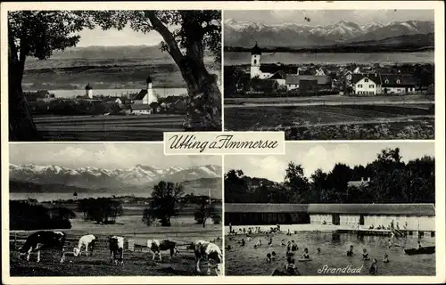 Ak Utting am Ammersee Oberbayern, Strandbad, Panorama, Kirche, Kühe