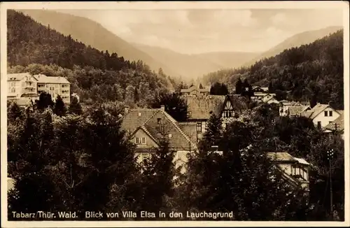 Ak Tabarz im Thüringer Wald, Blick von Villa Elsa in den Lauchagrund