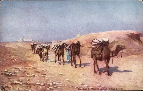 Künstler Ak Cairo Kairo Ägypten, Camels carrying stone, Kamele, Raphael Tuck & Sons 7204