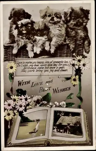 Ak Glückwunsch Geburtstag, Hundewelpen in einem Korb, Blumen, Haus mit Reetdach, Segelboot