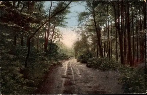 Ak Hilversum Nordholland Niederlande, Corverbosch