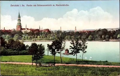Ak Zwickau in Sachsen, Partie am Schwanenteich mit Marienkirche