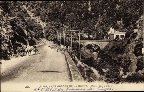 Ak Blida Algerien, Les Gorges de la Chiffa, Route des Gorges