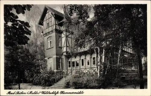 Ak Bad Düben an der Mulde, Waldschloss-Hammermühle